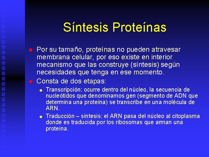 Síntesis Proteínas n n Por su tamaño, proteínas no pueden atravesar membrana celular, por