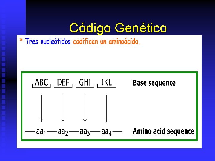 Código Genético 