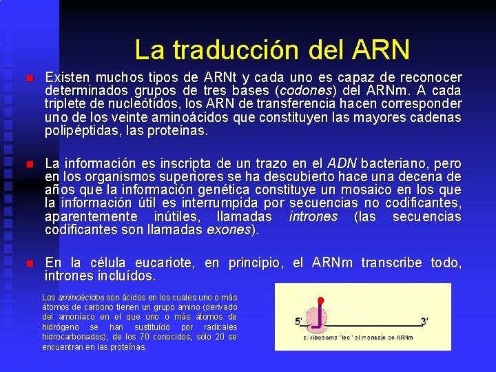 La traducción del ARN n Existen muchos tipos de ARNt y cada uno es