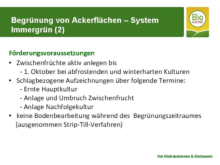 Begrünung von Ackerflächen – System Immergrün (2) Förderungsvoraussetzungen • Zwischenfrüchte aktiv anlegen bis -