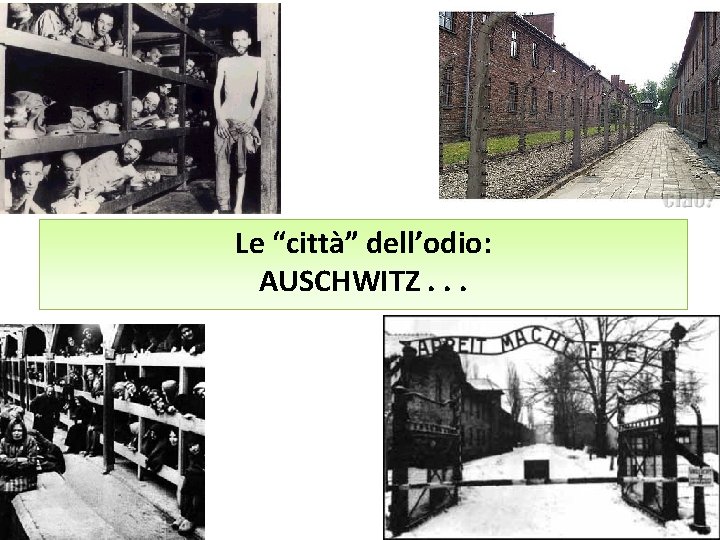 Le “città” dell’odio: AUSCHWITZ. . . 