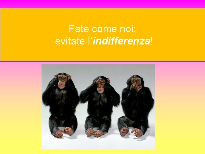 Fate come noi: evitate l’indifferenza! 