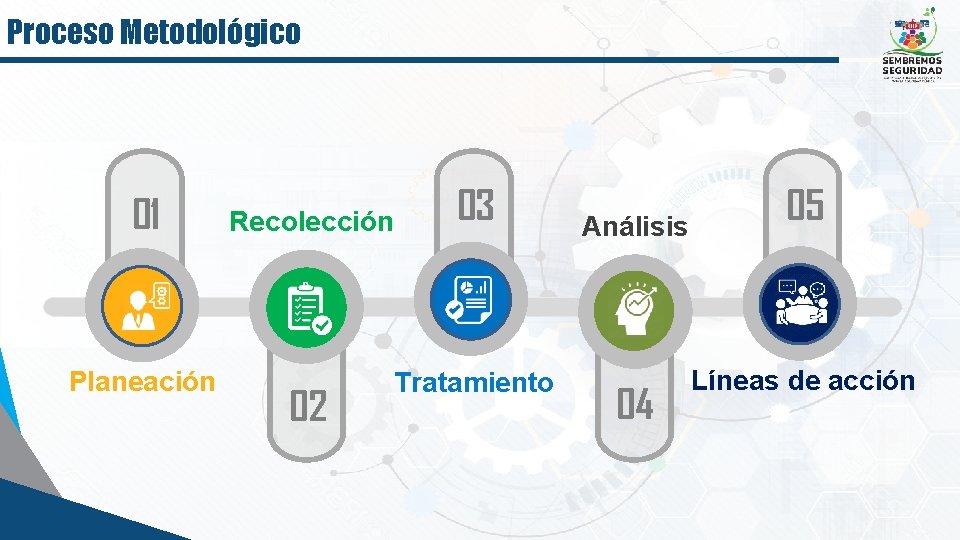 Proceso Metodológico 01 Planeación Recolección 02 03 Tratamiento Análisis 04 05 Líneas de acción