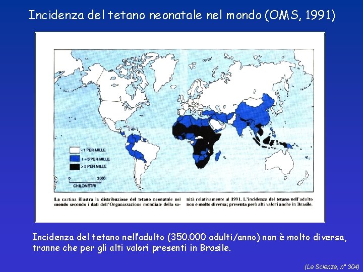 Incidenza del tetano neonatale nel mondo (OMS, 1991) Incidenza del tetano nell’adulto (350. 000