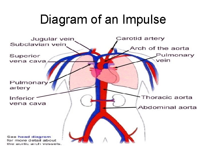 Diagram of an Impulse 