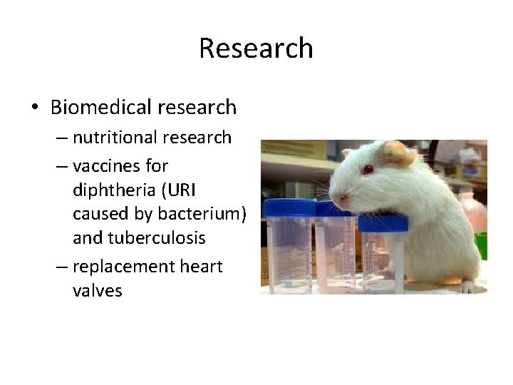 Research • Biomedical research – nutritional research – vaccines for diphtheria (URI caused by