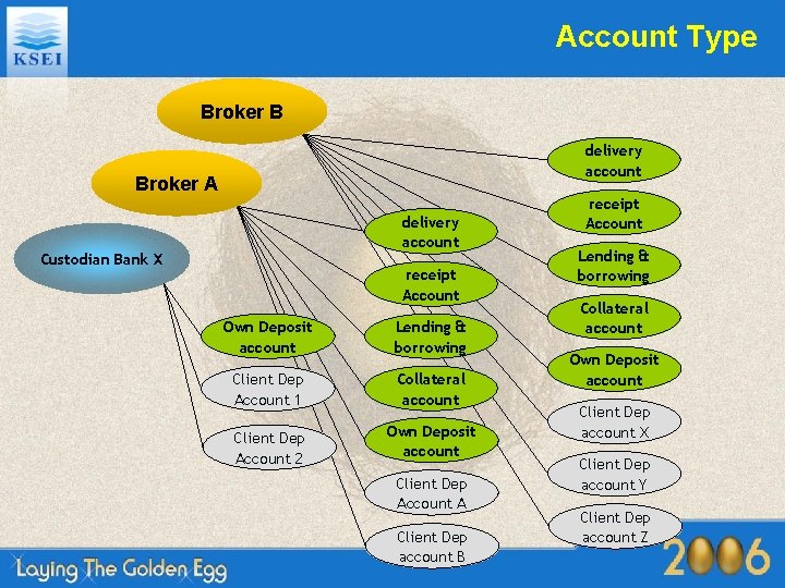 Account Type Broker B delivery account Broker A delivery account Custodian Bank X receipt