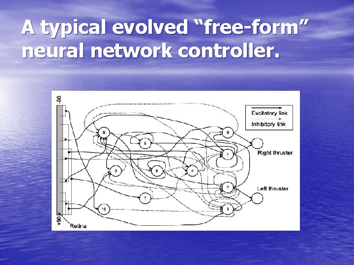 A typical evolved “free-form” neural network controller. 