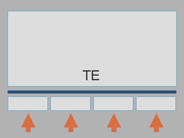 TE 