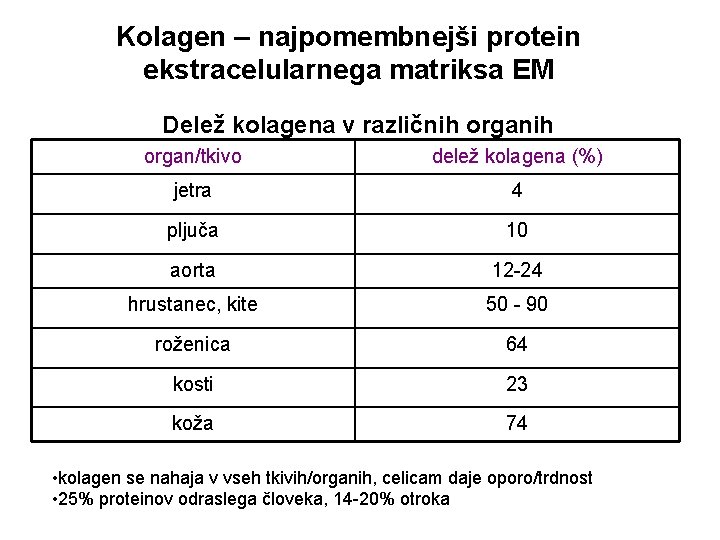 Kolagen – najpomembnejši protein ekstracelularnega matriksa EM Delež kolagena v različnih organ/tkivo delež kolagena