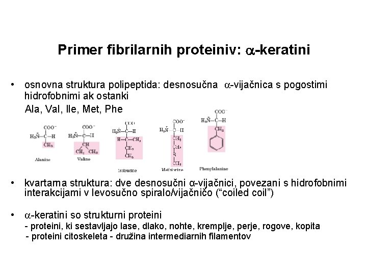 Primer fibrilarnih proteiniv: -keratini • osnovna struktura polipeptida: desnosučna -vijačnica s pogostimi hidrofobnimi ak