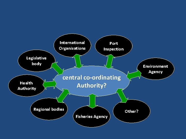 International Organisations Port Inspection Legislative body Health Authority Environment Agency central co-ordinating Authority? Regional