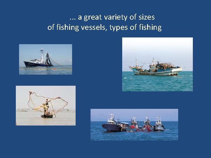 . . . a great variety of sizes of fishing vessels, types of fishing