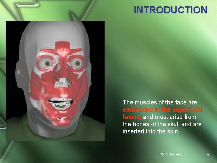 INTRODUCTION The muscles of the face are embedded in the superficial fascia, and most