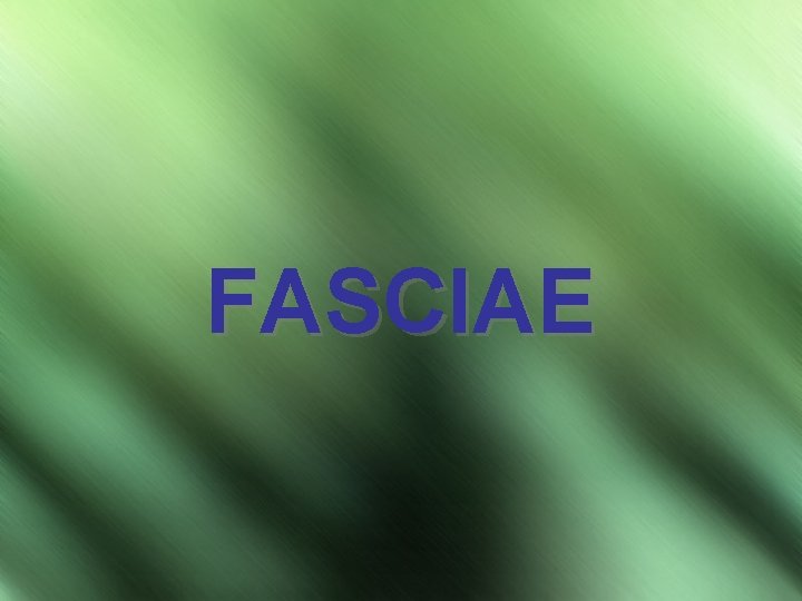 FASCIAE 