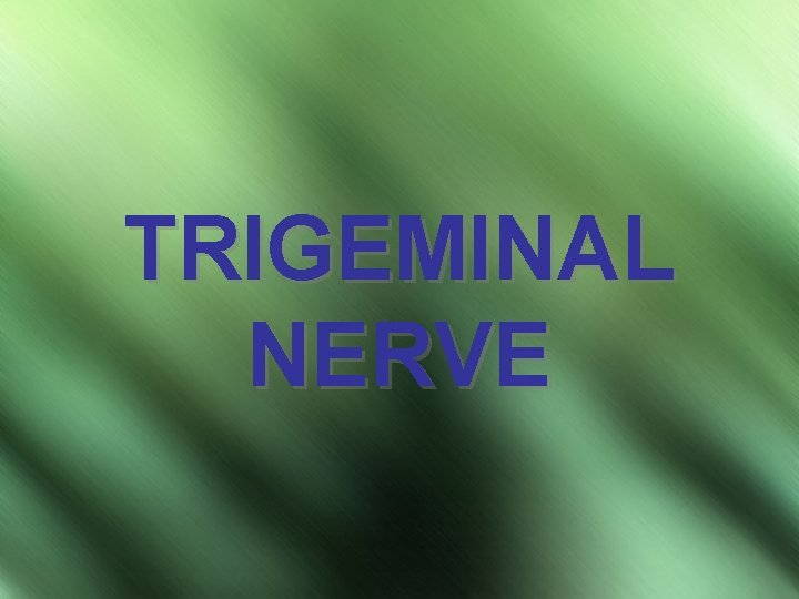 TRIGEMINAL NERVE 