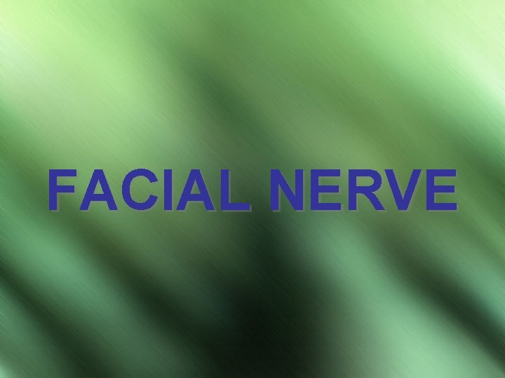 FACIAL NERVE 