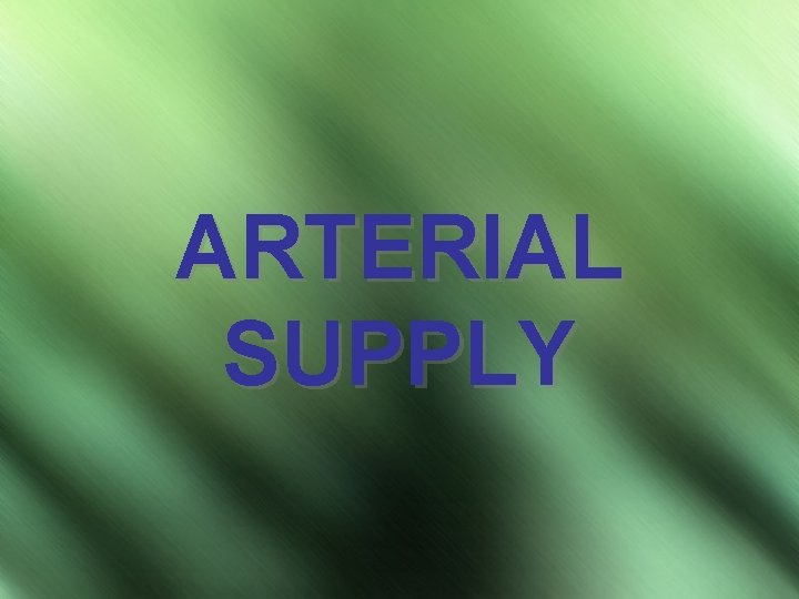 ARTERIAL SUPPLY 