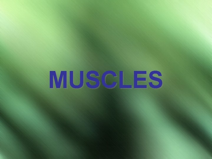 MUSCLES 