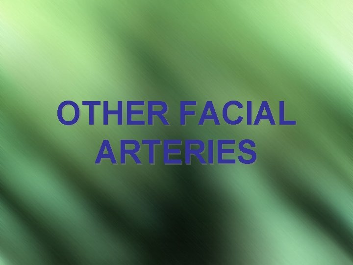 OTHER FACIAL ARTERIES 
