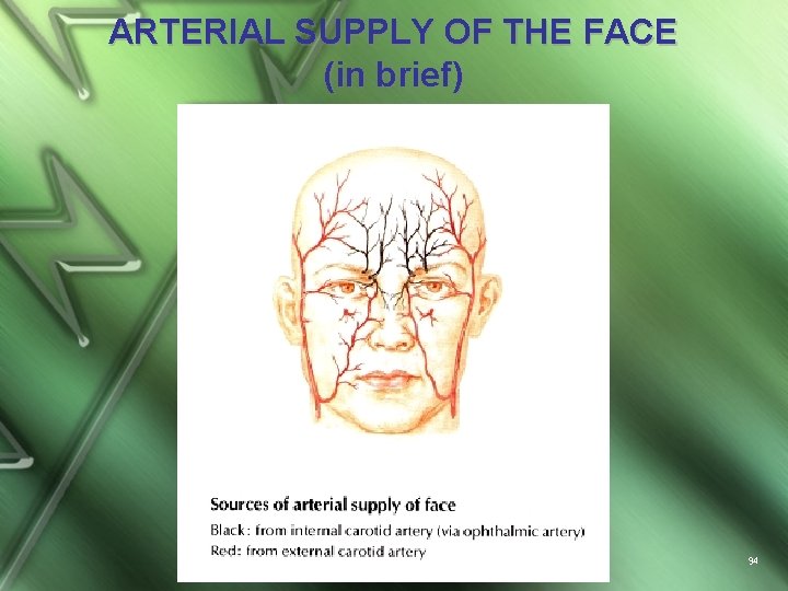 ARTERIAL SUPPLY OF THE FACE (in brief) 94 