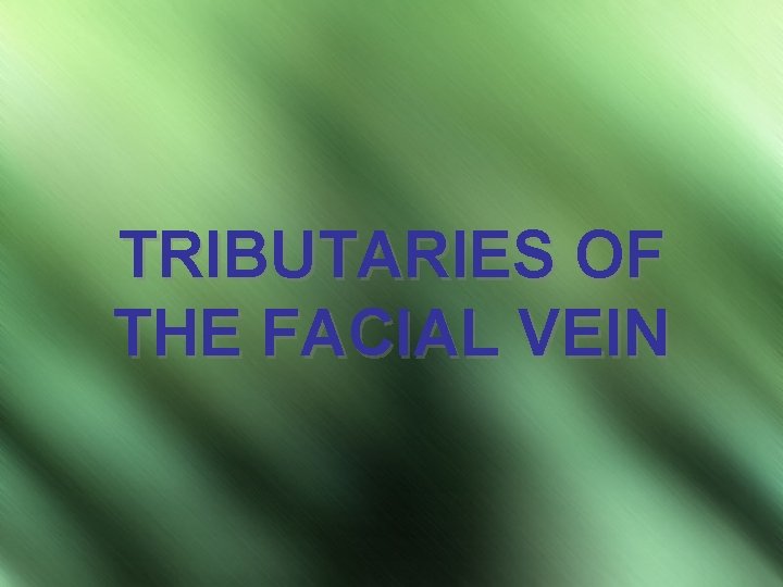 TRIBUTARIES OF THE FACIAL VEIN 