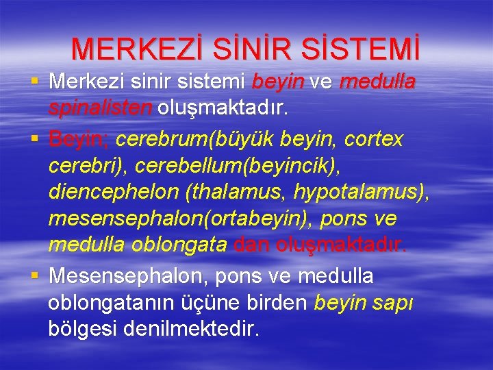 MERKEZİ SİNİR SİSTEMİ § Merkezi sinir sistemi beyin ve medulla spinalisten oluşmaktadır. § Beyin;