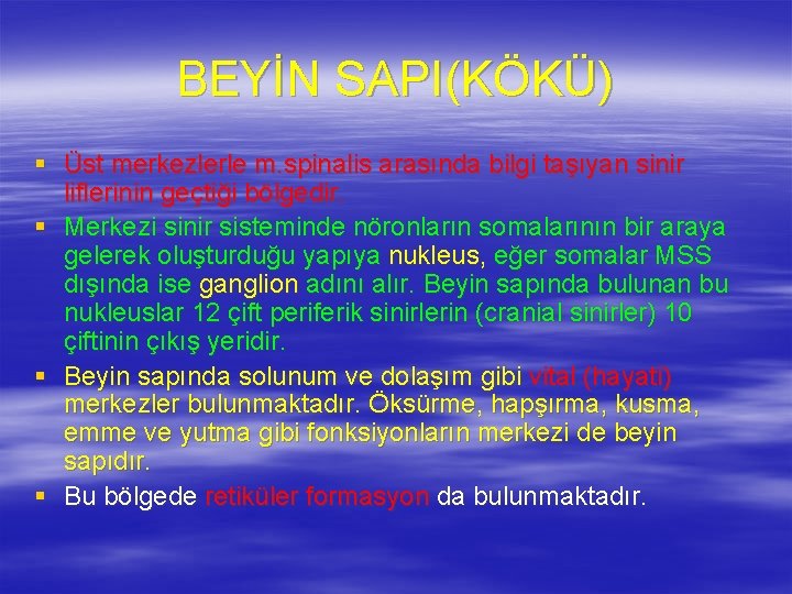 BEYİN SAPI(KÖKÜ) § Üst merkezlerle m. spinalis arasında bilgi taşıyan sinir liflerinin geçtiği bölgedir.