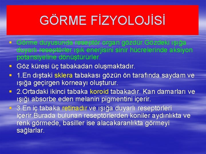 GÖRME FİZYOLOJİSİ § Görme duyusunda reseptör organ gözdür. Gözdeki ışığa duyarlı reseptörler ışık enerjisinir