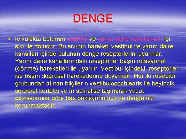 DENGE § İç kulakta bulunan vestibül ve yarım daire kanallarının içi sıvı ile doludur.