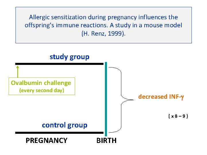 Allergic sensitization during pregnancy influences the offspring’s immune reactions. A study in a mouse