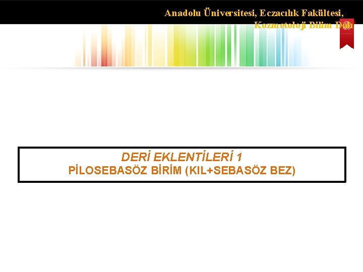 Anadolu Üniversitesi, Eczacılık Fakültesi, Kozmetoloji Bilim Dalı DERİ EKLENTİLERİ 1 PİLOSEBASÖZ BİRİM (KIL+SEBASÖZ BEZ)