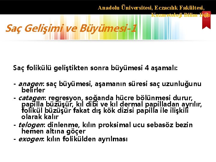 Anadolu Üniversitesi, Eczacılık Fakültesi, Kozmetoloji Bilim Dalı Saç Gelişimi ve Büyümesi-1 Saç folikülü geliştikten