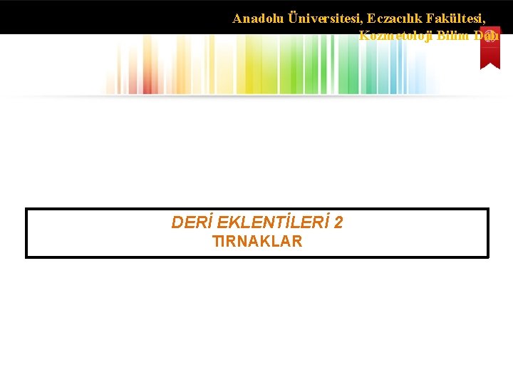 Anadolu Üniversitesi, Eczacılık Fakültesi, Kozmetoloji Bilim Dalı DERİ EKLENTİLERİ 2 TIRNAKLAR 