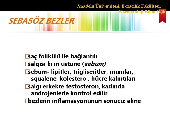 Anadolu Üniversitesi, Eczacılık Fakültesi, Kozmetoloji Bilim Dalı SEBASÖZ BEZLER �saç folikülü ile bağlantılı �salgısı