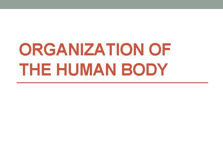 ORGANIZATION OF THE HUMAN BODY 