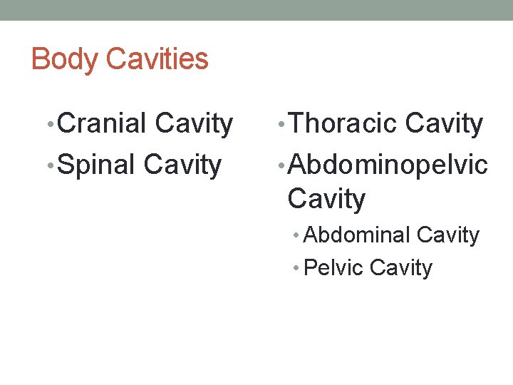 Body Cavities • Cranial Cavity • Thoracic Cavity • Spinal Cavity • Abdominopelvic Cavity