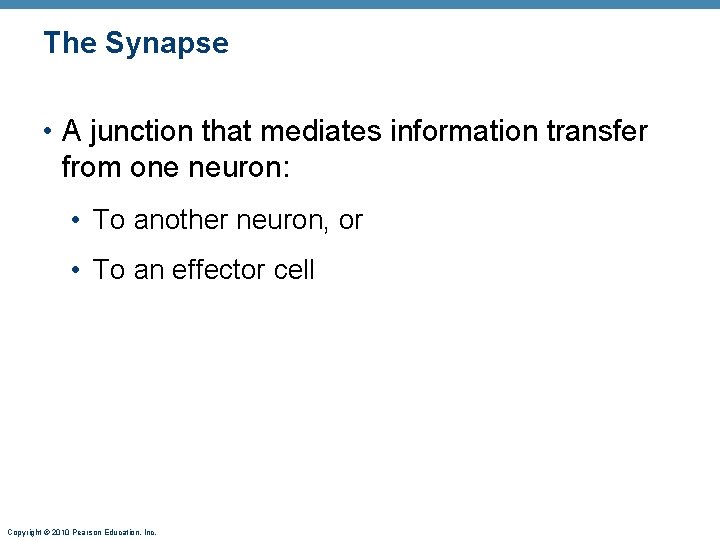 The Synapse • A junction that mediates information transfer from one neuron: • To