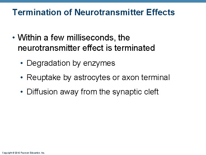Termination of Neurotransmitter Effects • Within a few milliseconds, the neurotransmitter effect is terminated