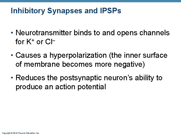 Inhibitory Synapses and IPSPs • Neurotransmitter binds to and opens channels for K+ or