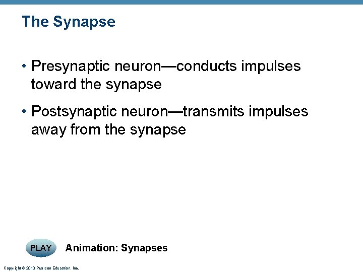 The Synapse • Presynaptic neuron—conducts impulses toward the synapse • Postsynaptic neuron—transmits impulses away
