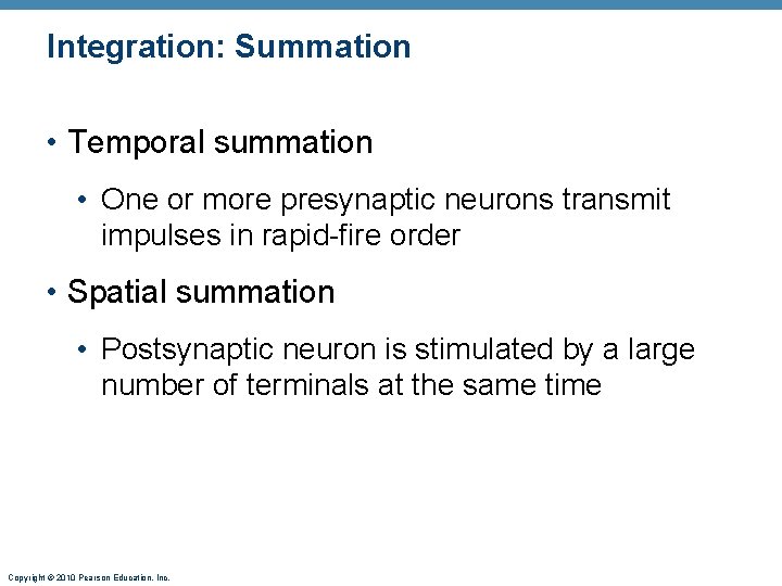 Integration: Summation • Temporal summation • One or more presynaptic neurons transmit impulses in