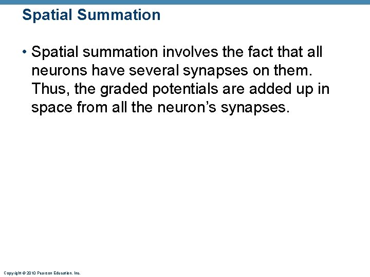Spatial Summation • Spatial summation involves the fact that all neurons have several synapses