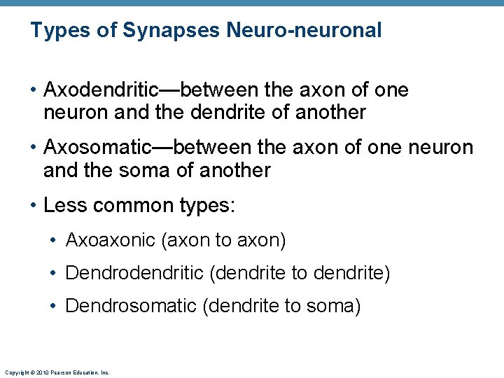 Types of Synapses Neuro-neuronal • Axodendritic—between the axon of one neuron and the dendrite