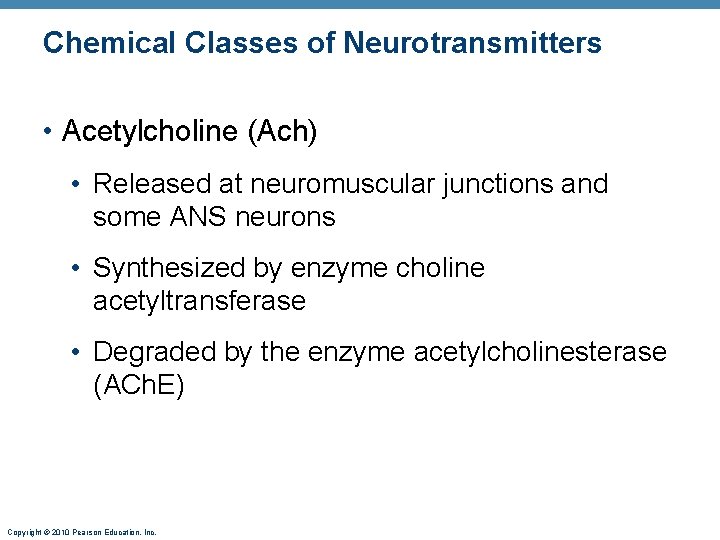 Chemical Classes of Neurotransmitters • Acetylcholine (Ach) • Released at neuromuscular junctions and some
