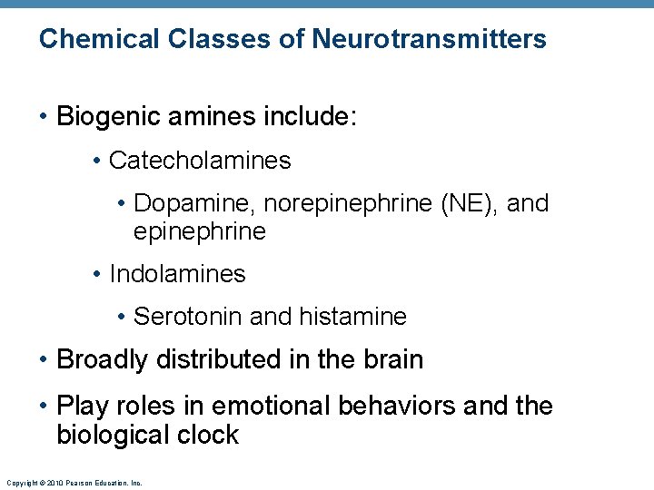 Chemical Classes of Neurotransmitters • Biogenic amines include: • Catecholamines • Dopamine, norepinephrine (NE),