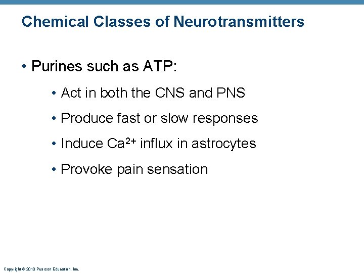 Chemical Classes of Neurotransmitters • Purines such as ATP: • Act in both the