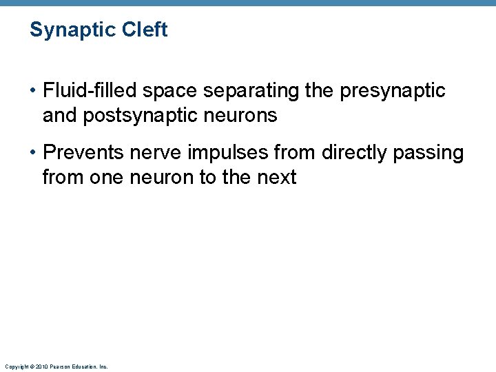 Synaptic Cleft • Fluid-filled space separating the presynaptic and postsynaptic neurons • Prevents nerve
