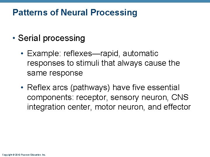 Patterns of Neural Processing • Serial processing • Example: reflexes—rapid, automatic responses to stimuli