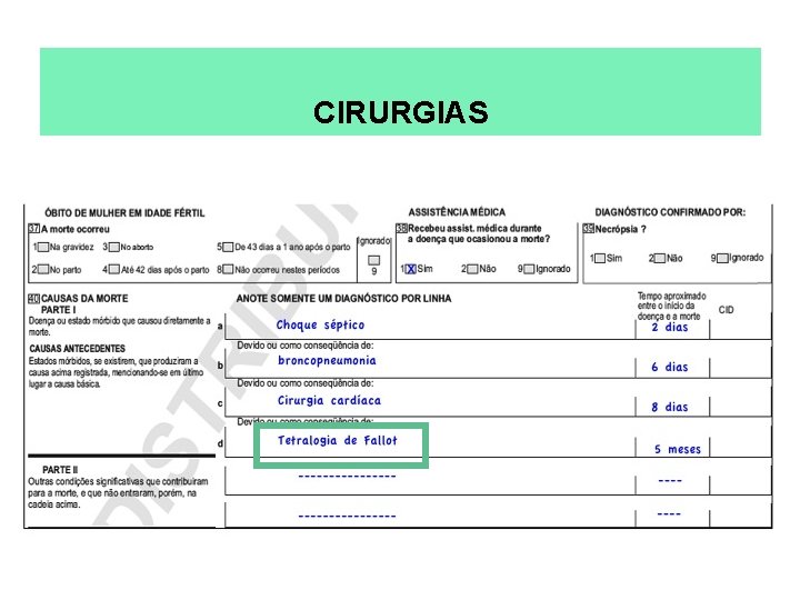 CIRURGIAS 
